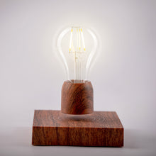 Load image into Gallery viewer, VOLTA Light Bulb Replacement