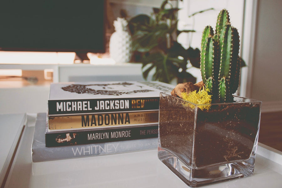 This Is How You Decorate a Coffee Table In 5 Simple Steps