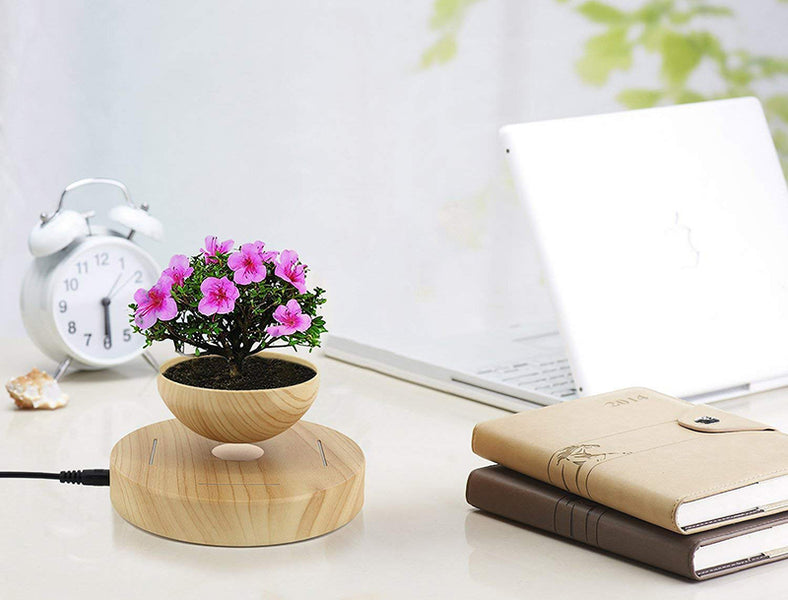 Best Floating Planter You Can Buy Online in 2021 | Reviews & Recommendations