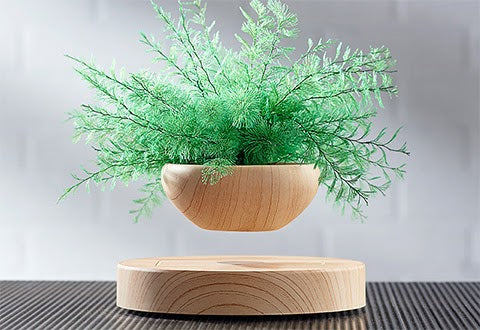 How to Make DIY Levitating Plant Home Decorations?