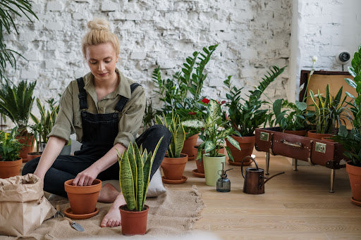 10 Thoughtful Gifts for Gardeners 2021