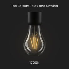 Load image into Gallery viewer, Edison Lightbulb - Low Stock! USA Orders Only
