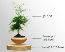 Load image into Gallery viewer, Airsai - Floating Plant Pot
