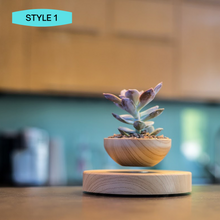 Load image into Gallery viewer, Airsai - Floating Plant Pot
