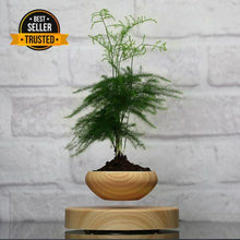 Load image into Gallery viewer, AIRSAI - Plant Holder

