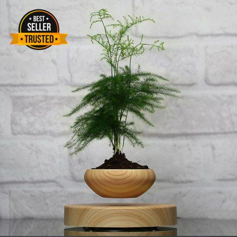 AIRSAI - Plant Holder