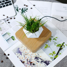 Load image into Gallery viewer, AIRSAI - Plant Holder

